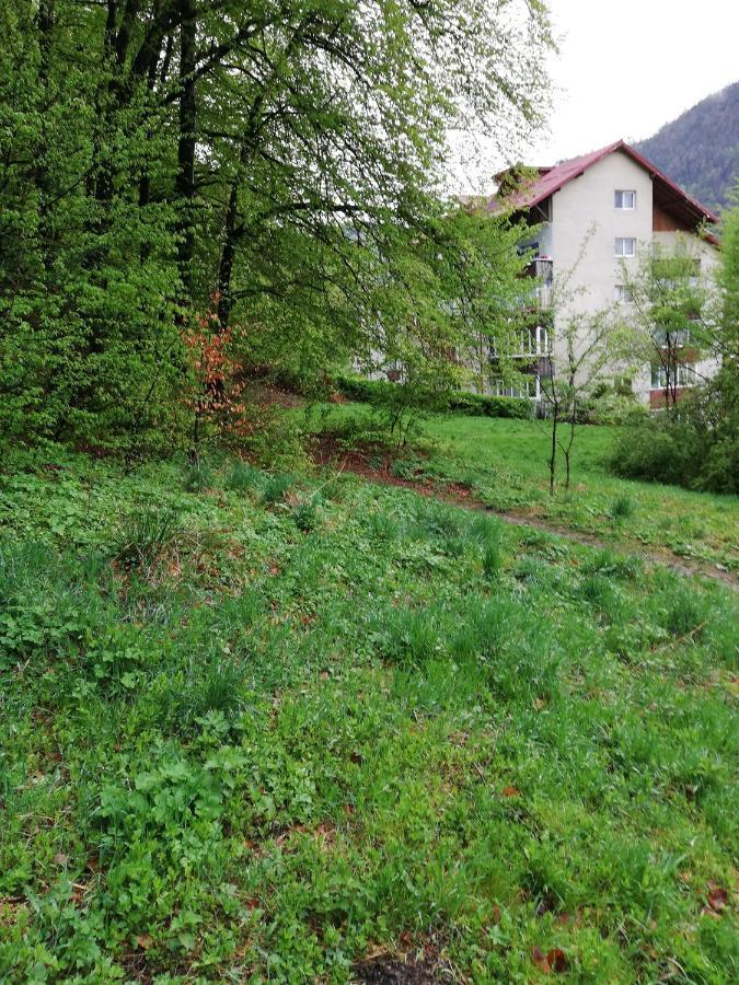 Rustic & Romantic Apartment Brasov Luaran gambar