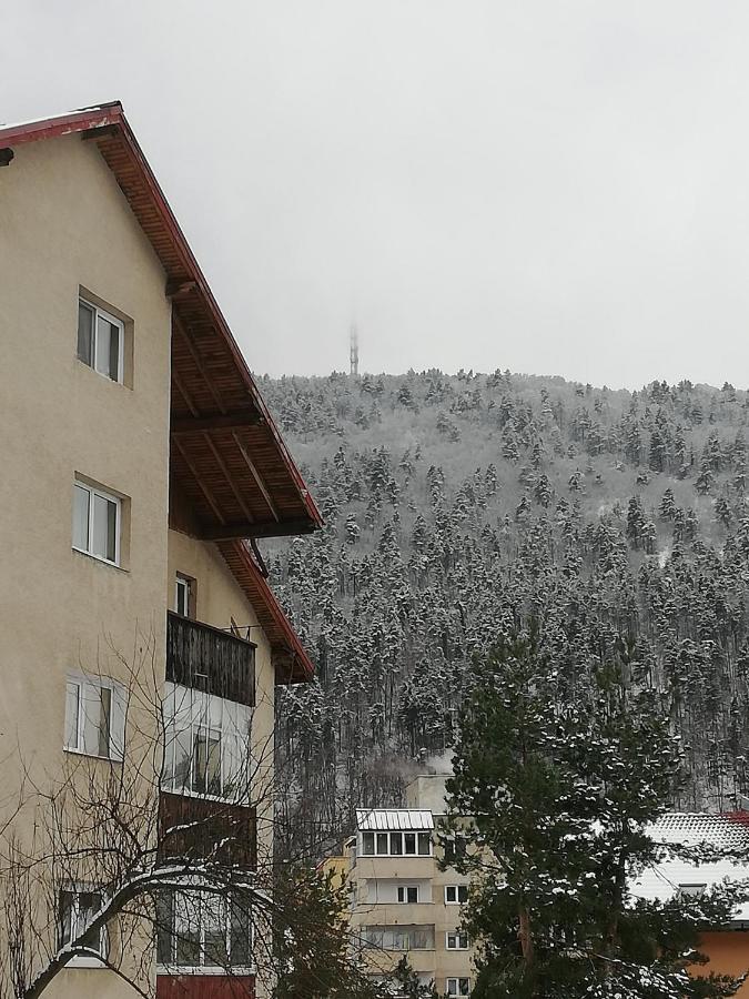 Rustic & Romantic Apartment Brasov Luaran gambar