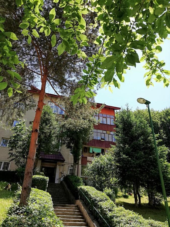 Rustic & Romantic Apartment Brasov Luaran gambar